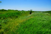 Прогулка по хазарским городищам нижнего Дона