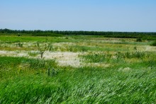 Прогулка по хазарским городищам нижнего Дона