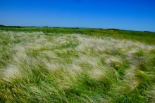 Прогулка по хазарским городищам нижнего Дона