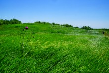 Прогулка по хазарским городищам нижнего Дона