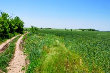 Прогулка по хазарским городищам нижнего Дона