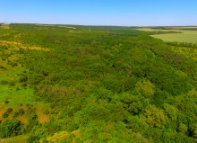 Прогулка по хазарским городищам нижнего Дона