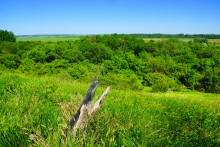 Прогулка по хазарским городищам нижнего Дона