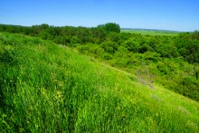 Прогулка по хазарским городищам нижнего Дона
