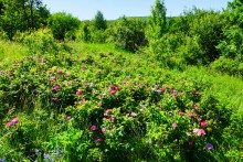 Прогулка по хазарским городищам нижнего Дона