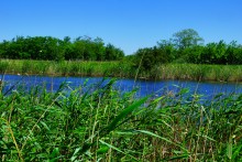 Прогулка по хазарским городищам нижнего Дона