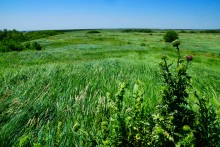 Прогулка по хазарским городищам нижнего Дона