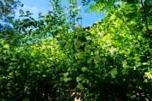 Хутор Апанасовка на реке Быстрой