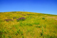 Хутор Апанасовка на реке Быстрой