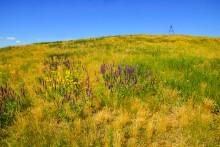 Хутор Апанасовка на реке Быстрой