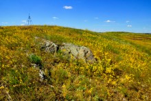 Хутор Апанасовка на реке Быстрой