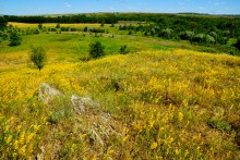 Хутор Апанасовка на реке Быстрой