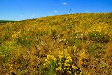 Хутор Апанасовка на реке Быстрой