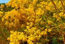 Хутор Апанасовка на реке Быстрой