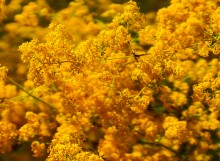 Хутор Апанасовка на реке Быстрой