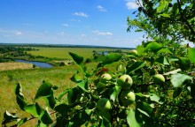 Осадная гора у станицы Кагальницкой на реке Кагальнике.