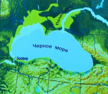 Поселения в Каменной балке и Недвиговке