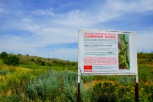 Поселения в Каменной балке и Недвиговке