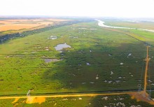 Поселения в Каменной балке и Недвиговке