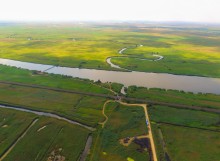 Поселения в Каменной балке и Недвиговке