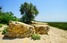 Каменные пляжи Мержаново