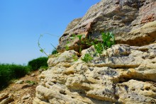 Каменные пляжи Мержаново