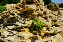 Каменные пляжи Мержаново