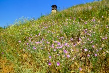 Каменные пляжи Мержаново