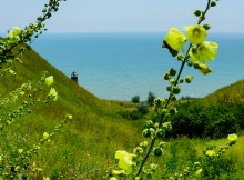 Каменные пляжи Мержаново