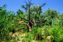 Каменные пляжи Мержаново