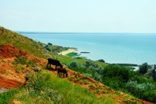 Каменные пляжи Мержаново