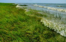 Каменные пляжи Мержаново