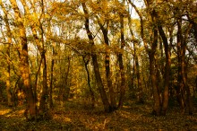 Осенний Миус