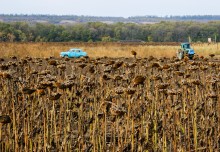 Осенний Миус