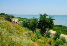 Шелководство на Дону