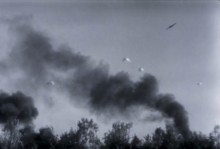 Шелководство на Дону