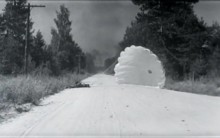 Шелководство на Дону