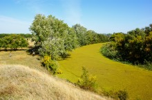 Цветущая река