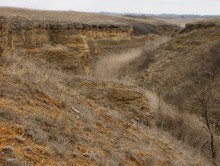 Ракушечный каньон