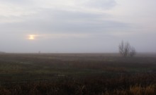 Осень в степи