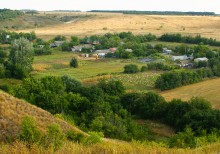 Аграфеновка, огороды