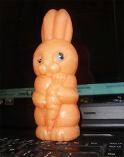 Дворянское гнездо в селе Позднеевка на берегу реки Ольховой