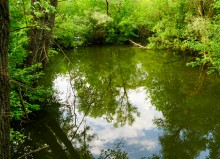 Дворянское гнездо в селе Позднеевка на берегу реки Ольховой