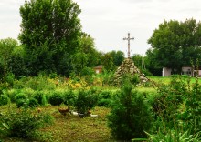 Дворянское гнездо в селе Позднеевка на берегу реки Ольховой