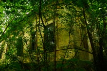 Дворянское гнездо в селе Позднеевка на берегу реки Ольховой