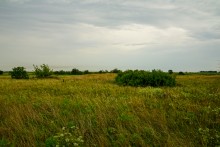 Немецкие колонии на Дону, Гохвельд, Ольгенфельд, Офенталь и другие