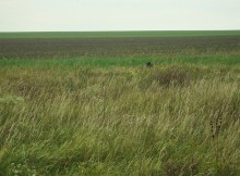 Немецкие колонии на Дону, Гохвельд, Ольгенфельд, Офенталь и другие