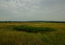 Немецкие колонии на Дону, Гохвельд, Ольгенфельд, Офенталь и другие