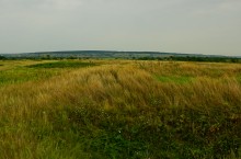 Немецкие колонии на Дону, Гохвельд, Ольгенфельд, Офенталь и другие