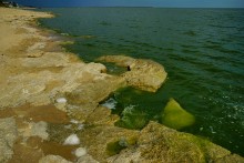 Поселения каменного века у хутора Рожок